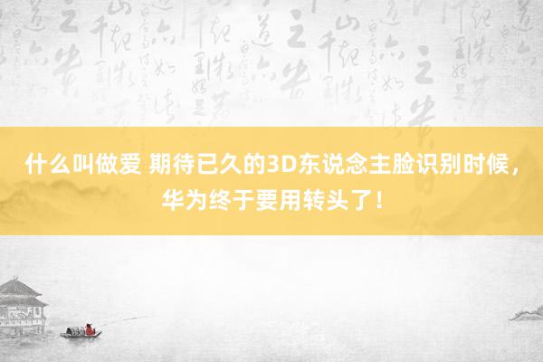 什么叫做爱 期待已久的3D东说念主脸识别时候，华为终于要用转头了！