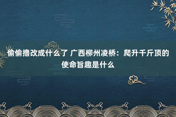 偷偷撸改成什么了 广西柳州凌桥：爬升千斤顶的使命旨趣是什么