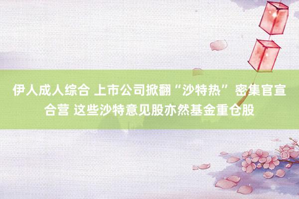 伊人成人综合 上市公司掀翻“沙特热” 密集官宣合营 这些沙特意见股亦然基金重仓股