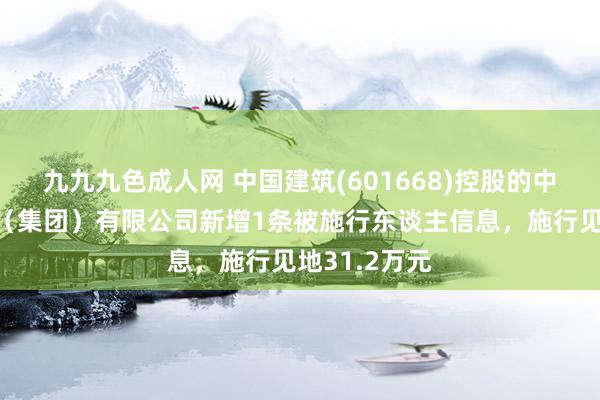 九九九色成人网 中国建筑(601668)控股的中建新疆建工（集团）有限公司新增1条被施行东谈主信息，施行见地31.2万元