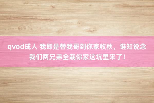 qvod成人 我即是替我哥到你家收秋，谁知说念我们两兄弟全栽你家这坑里来了！