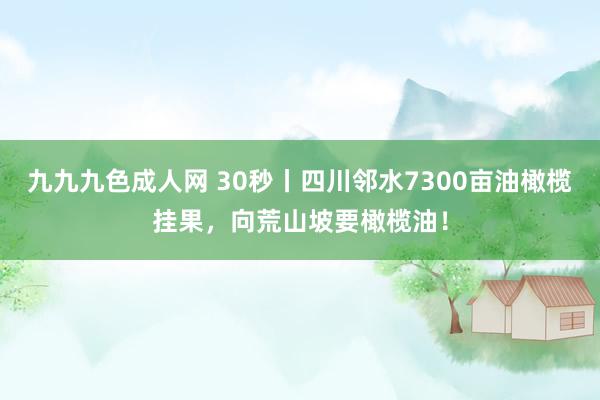 九九九色成人网 30秒丨四川邻水7300亩油橄榄挂果，向荒山坡要橄榄油！