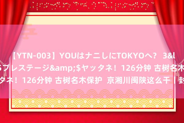 【YTN-003】YOUはナニしにTOKYOへ？ 3</a>2016-11-25プレステージ&$ヤッタネ！126分钟 古树名木保护  京湘川闽陕这么干丨封面圆桌