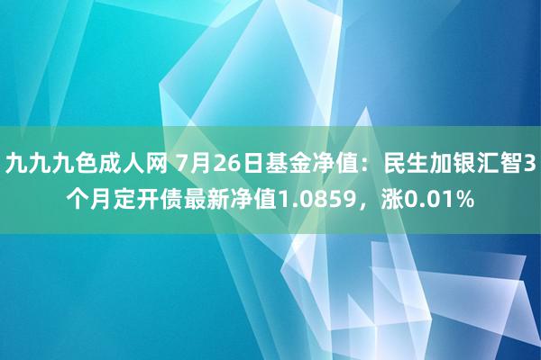 九九九色成人网 7月26日基金净值：民生加银汇智3个月定开债最新净值1.0859，涨0.01%