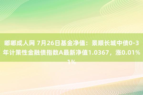 嘟嘟成人网 7月26日基金净值：景顺长城中债0-3年计策性金融债指数A最新净值1.0367，涨0.01%