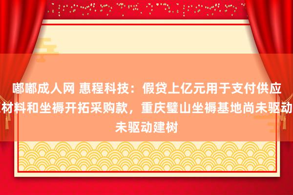 嘟嘟成人网 惠程科技：假贷上亿元用于支付供应商原材料和坐褥开拓采购款，重庆璧山坐褥基地尚未驱动建树