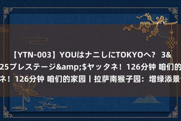 【YTN-003】YOUはナニしにTOKYOへ？ 3</a>2016-11-25プレステージ&$ヤッタネ！126分钟 咱们的家园丨拉萨南猴子园：增绿添景让城市更宜居