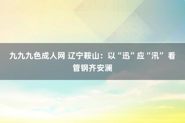 九九九色成人网 辽宁鞍山：以“迅”应“汛” 看管钢齐安澜