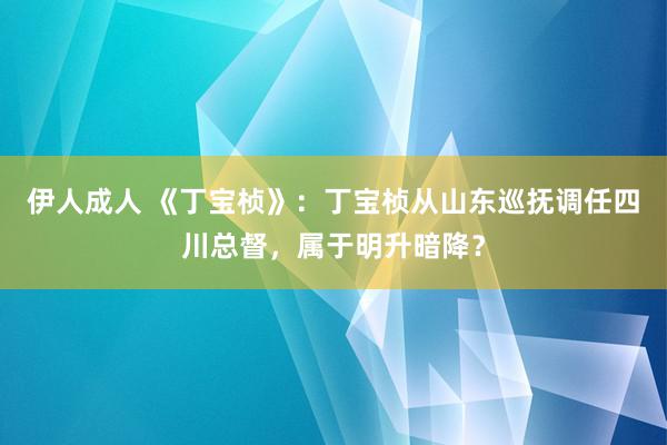 伊人成人 《丁宝桢》：丁宝桢从山东巡抚调任四川总督，属于明升暗降？