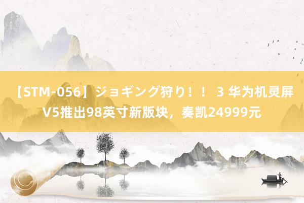 【STM-056】ジョギング狩り！！ 3 华为机灵屏V5推出98英寸新版块，奏凯24999元