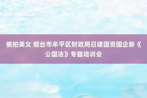 偷拍美女 烟台市牟平区财政局召建国资国企新《公国法》专题培训会