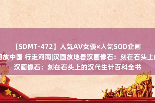 【SDMT-472】人気AV女優×人気SOD企画 女優祭7時間40分 何故中国 行走河南|汉画故地看汉画像石：刻在石头上的汉代生计百科全书