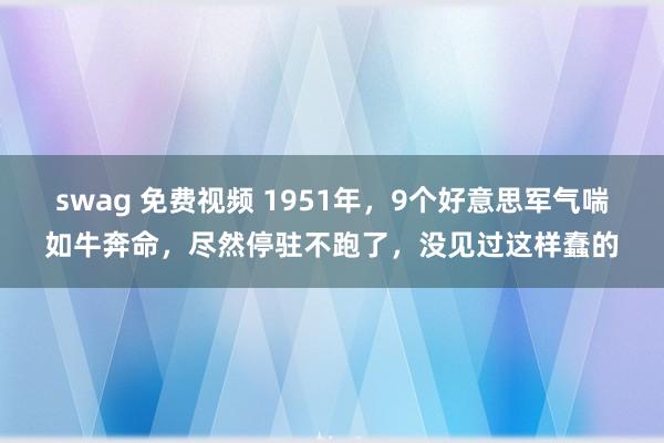 swag 免费视频 1951年，9个好意思军气喘如牛奔命，尽然停驻不跑了，没见过这样蠢的