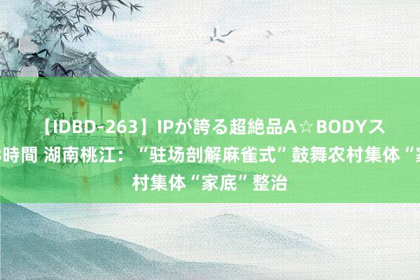 【IDBD-263】IPが誇る超絶品A☆BODYスペシャル8時間 湖南桃江：“驻场剖解麻雀式”鼓舞农村集体“家底”整治